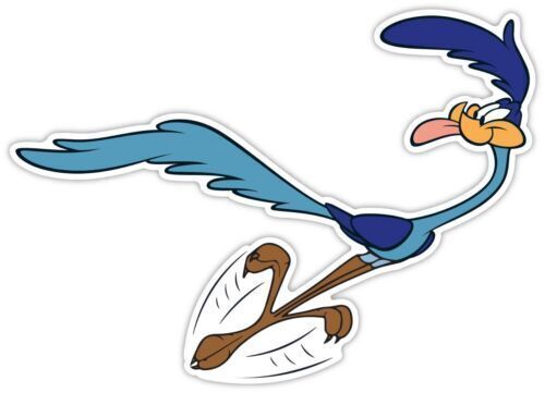 Adesivo road runner cartone - adesivo,