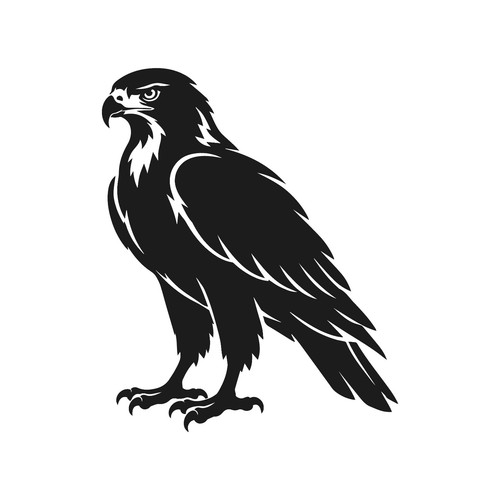 Adesivo dettagliato hawk - dettagliato,